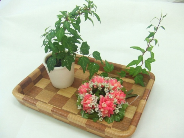 チェッカー・トレイ